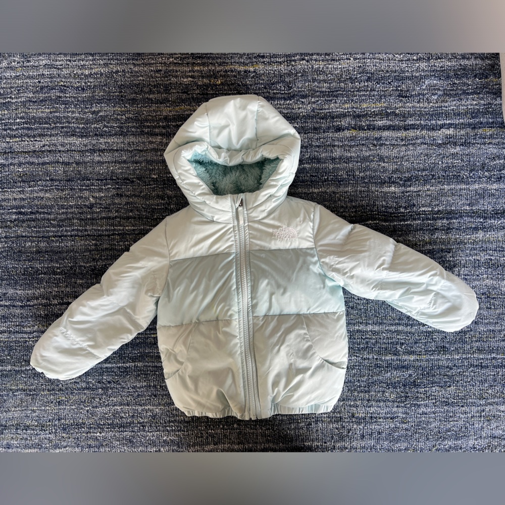 North Face moondoggy down hooded coat